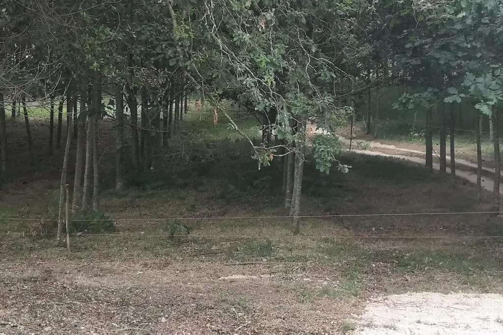 Вілла Casa Do Carvalhal - Quinta Do Soldado Alquerubim Екстер'єр фото