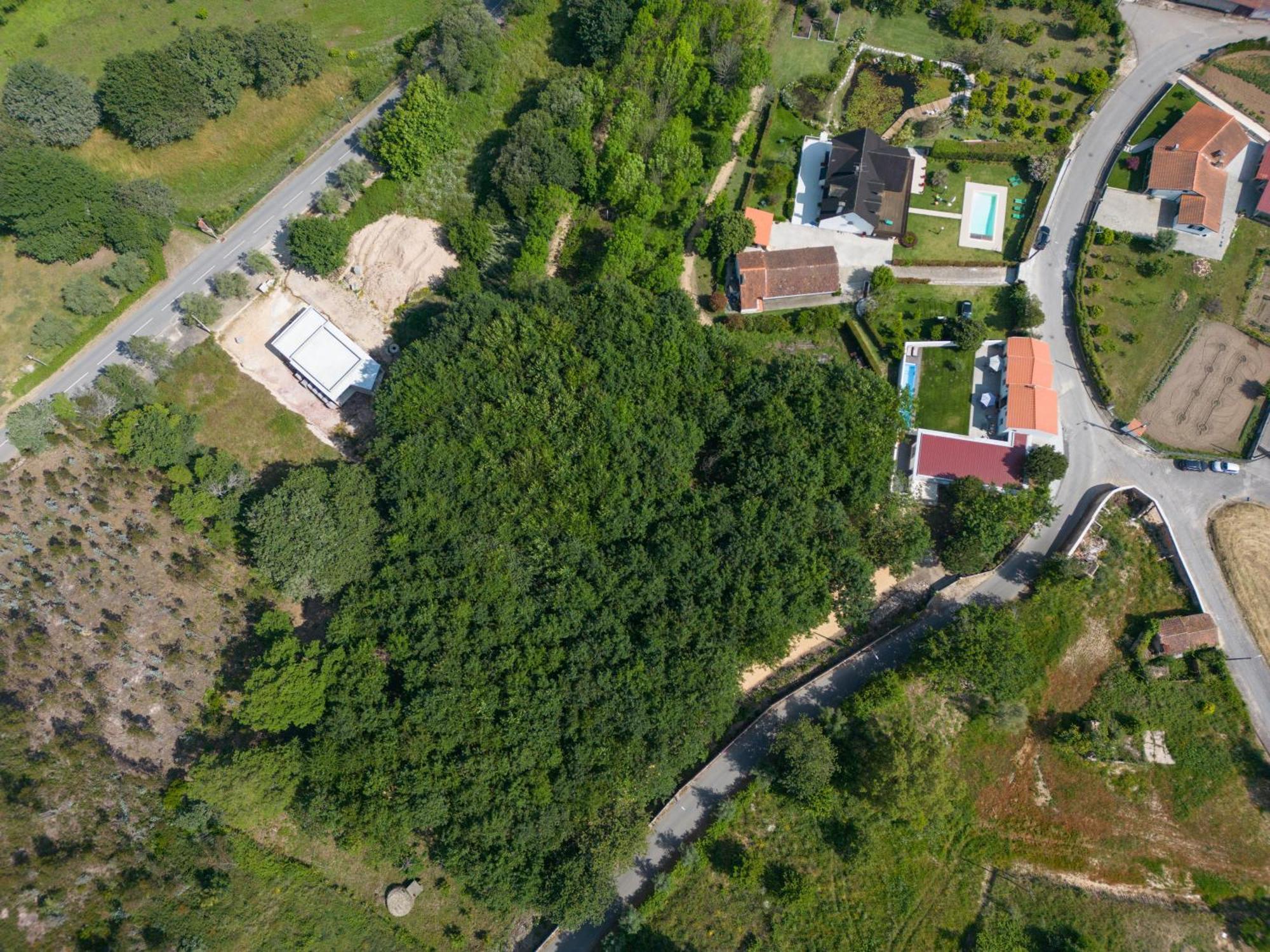 Вілла Casa Do Carvalhal - Quinta Do Soldado Alquerubim Екстер'єр фото